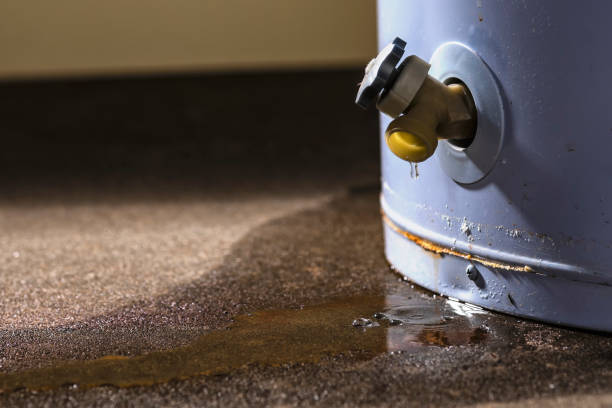 Best Basement water damage restoration  in Munfordville, KY