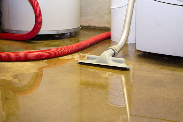 Best 24/7 water damage repair  in Munfordville, KY