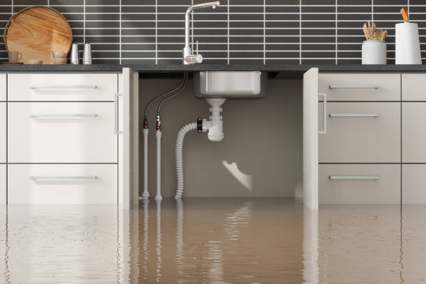 Water damage restoration mold remediation in KY