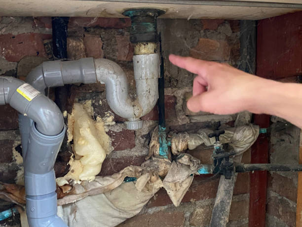 Best Fire Damage Restoration  in Munfordville, KY