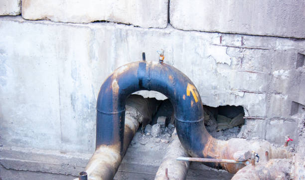 Best Flood restoration services  in Munfordville, KY